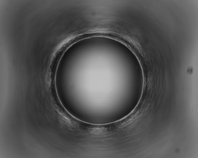 X0000100861406200806201206