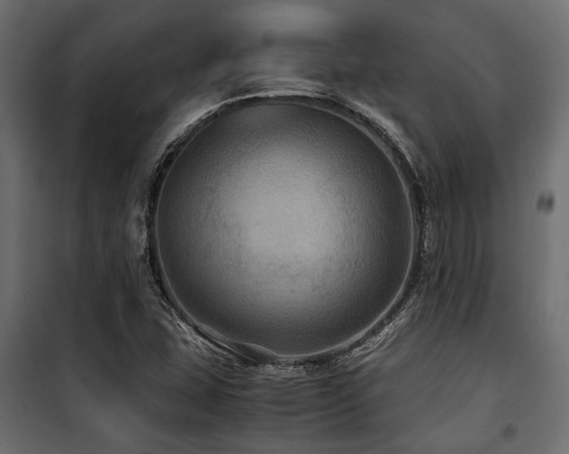 X0000100861407200806201206