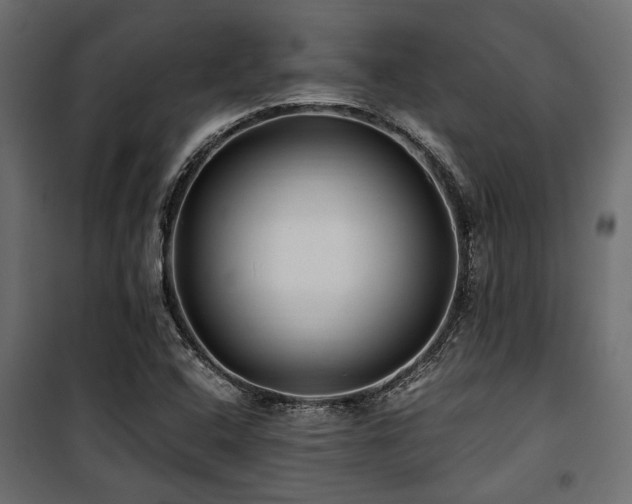 X0000100861408200806201206