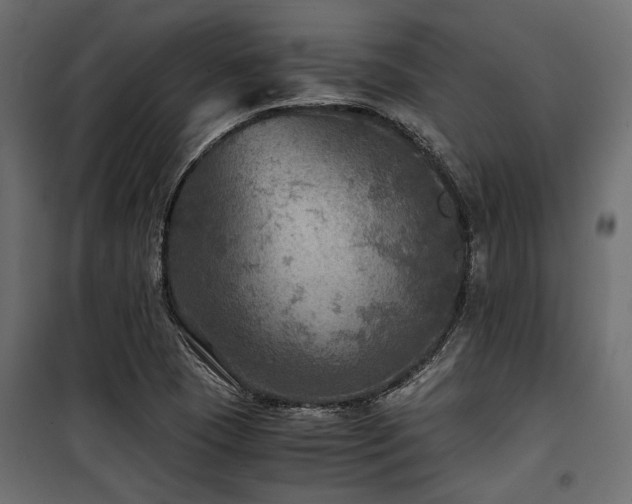 X0000100861409200806201206