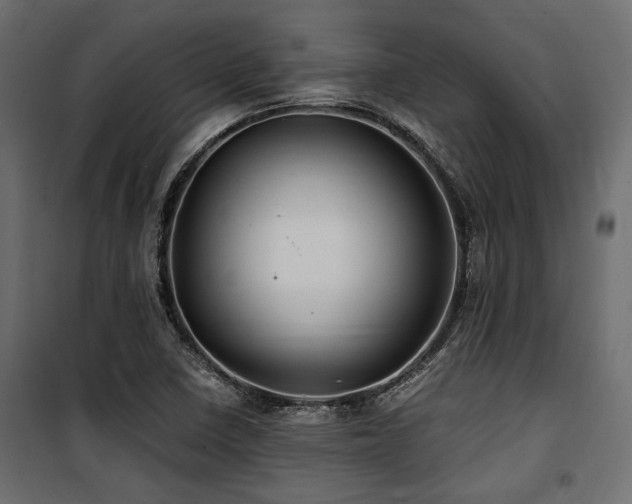 X0000100861410200806201206