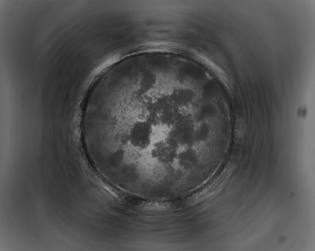 X0000100861411200806201206