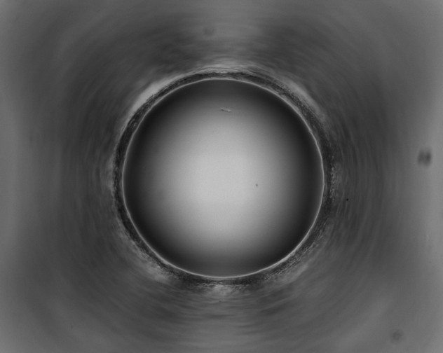 X0000100861412200806201206