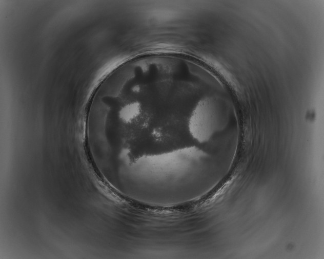 X0000100861413200806201206