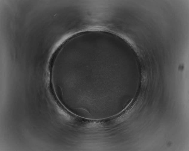 X0000100861414200806201206