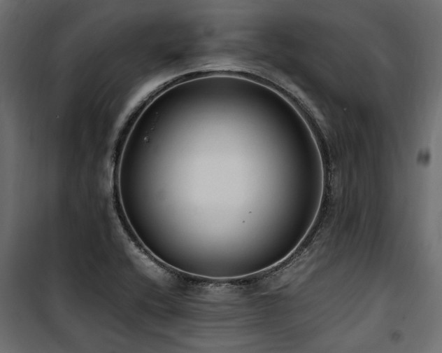 X0000100861416200806201206