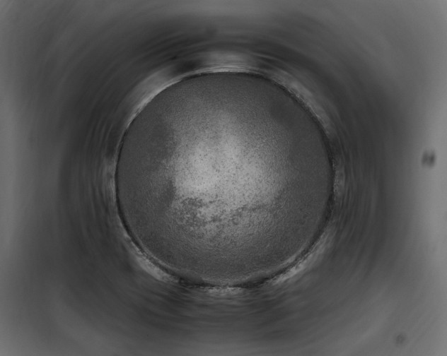 X0000100861417200806201206