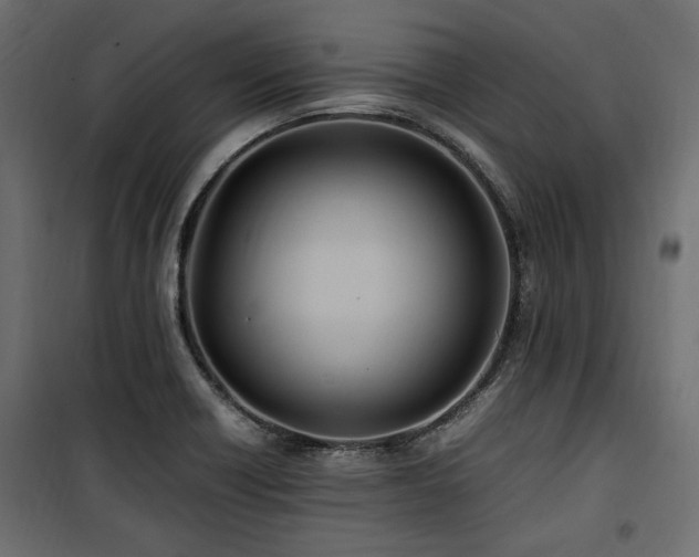 X0000100861418200806201206