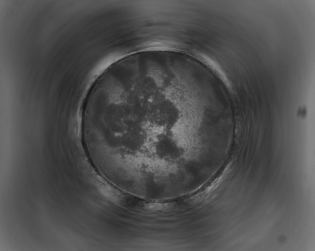 X0000100861419200806201206