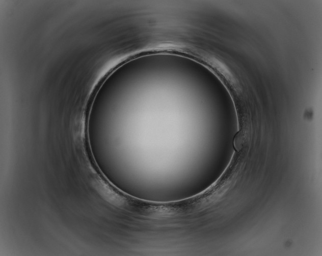 X0000100861420200806201206