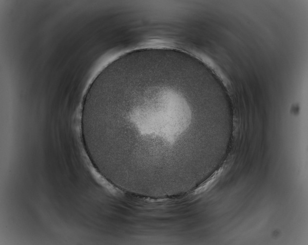 X0000100861421200806201206