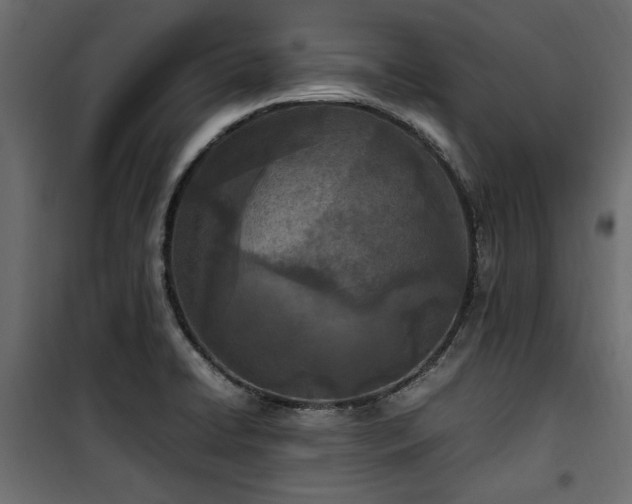 X0000100861422200806201206