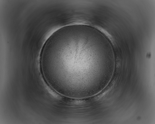 X0000100861423200806201206