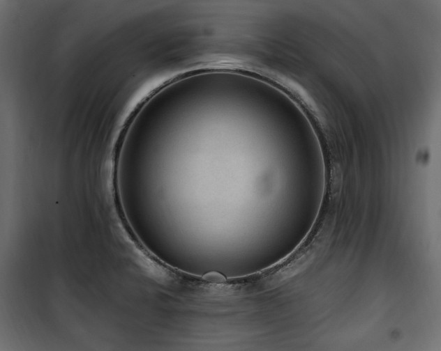 X0000100861424200806201206