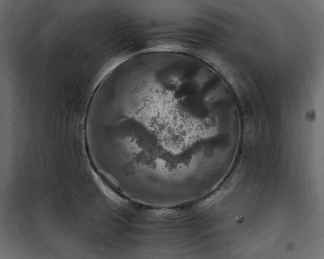 X0000100861425200806201206