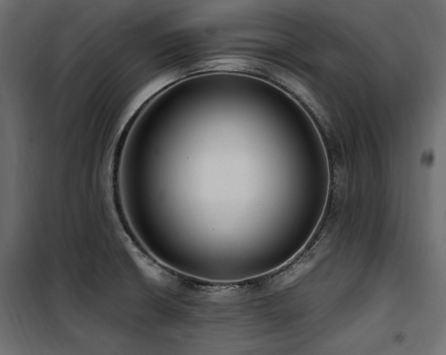 X0000100861426200806201206