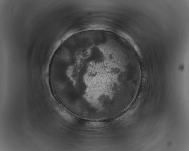 X0000100861427200806201206