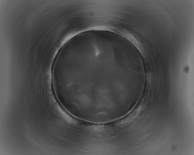 X0000100861428200806201206