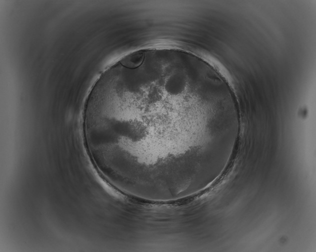 X0000100861429200806201206