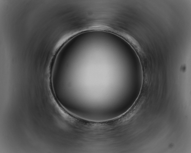 X0000100861430200806201206