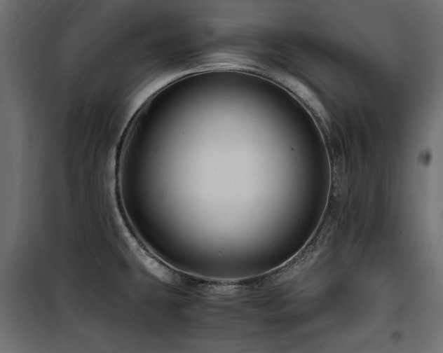 X0000100861431200806201206