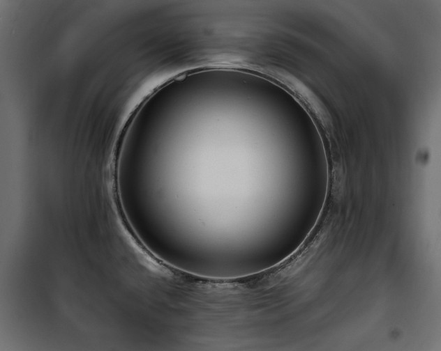 X0000100861432200806201206