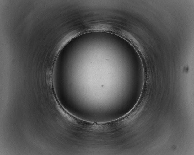 X0000100861433200806201206