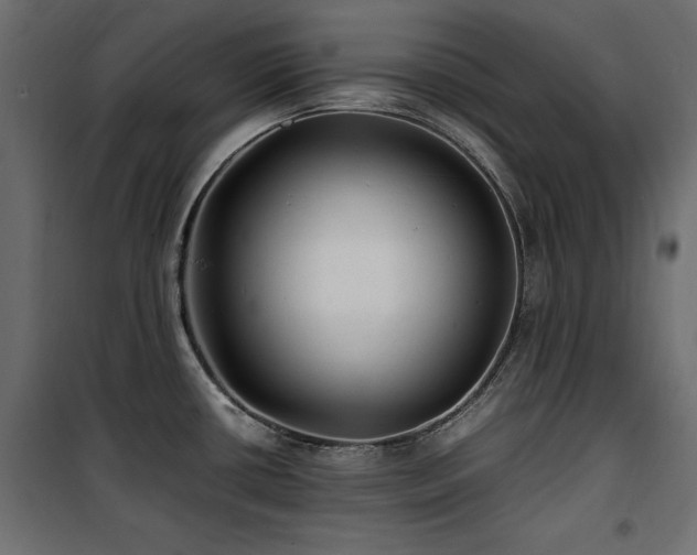 X0000100861434200806201206