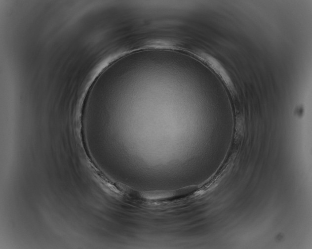 X0000100861435200806201206