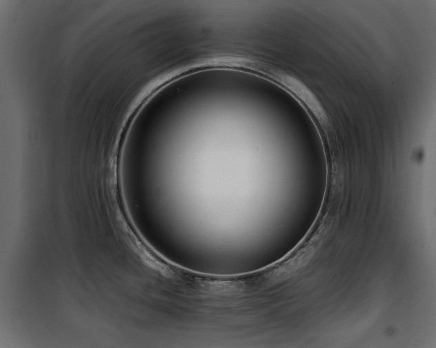 X0000100861436200806201206