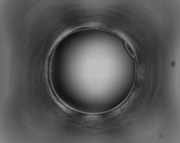 X0000100861437200806201206