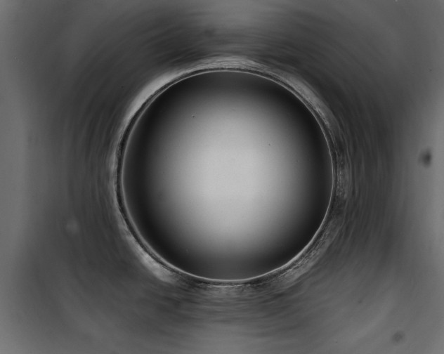 X0000100861438200806201206