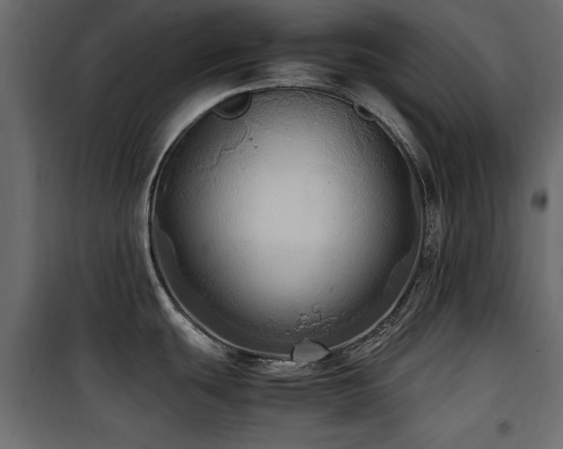 X0000100861439200806201206