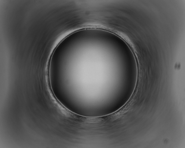 X0000100861440200806201206