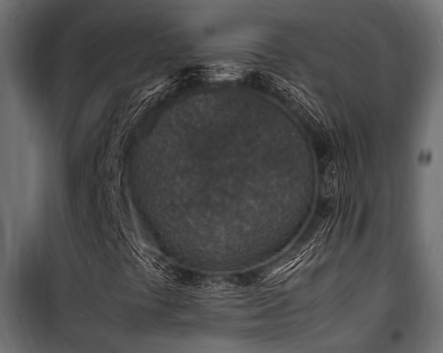 X0000100861441200806201206