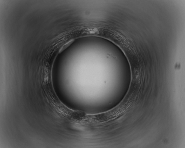 X0000100861442200806201206