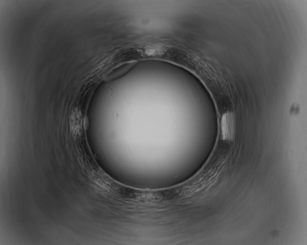 X0000100861443200806201206