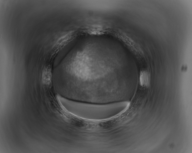 X0000100861444200806201206