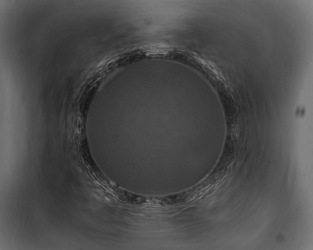 X0000100861445200806201206