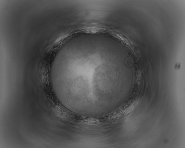 X0000100861446200806201205