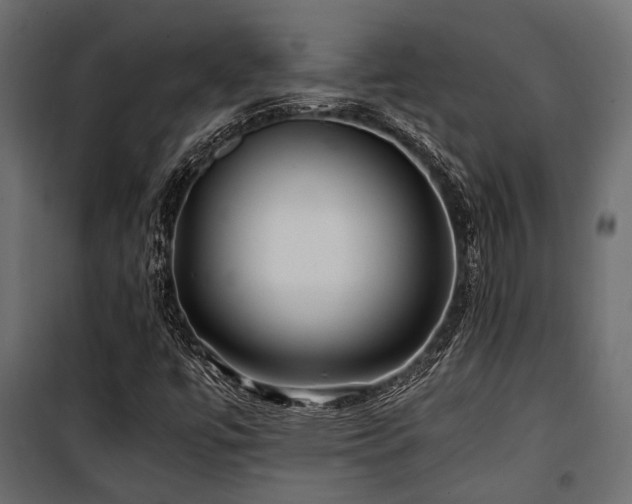 X0000100861447200806201205