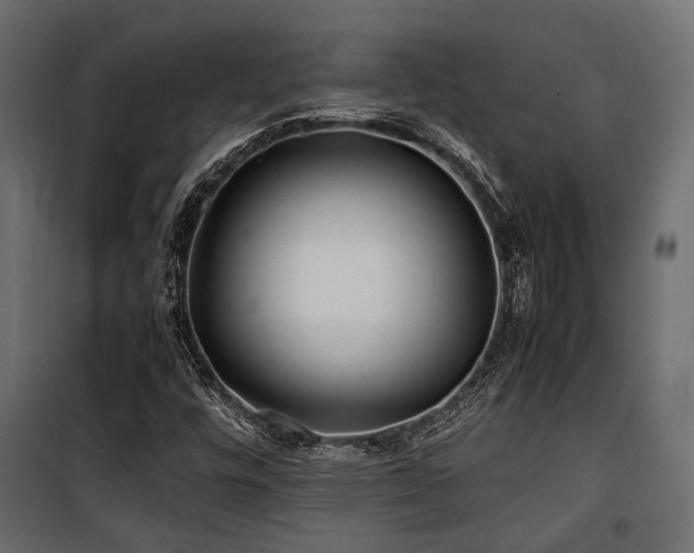 X0000100861448200806201205