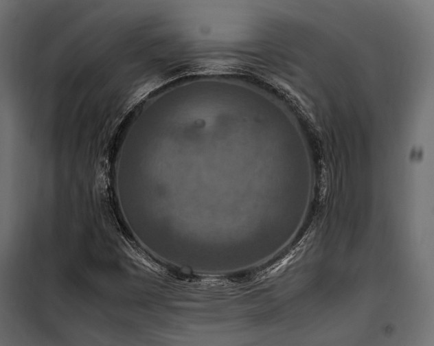 X0000100861449200806201205