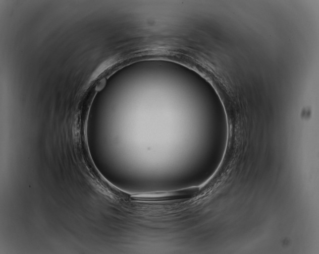 X0000100861450200806201205