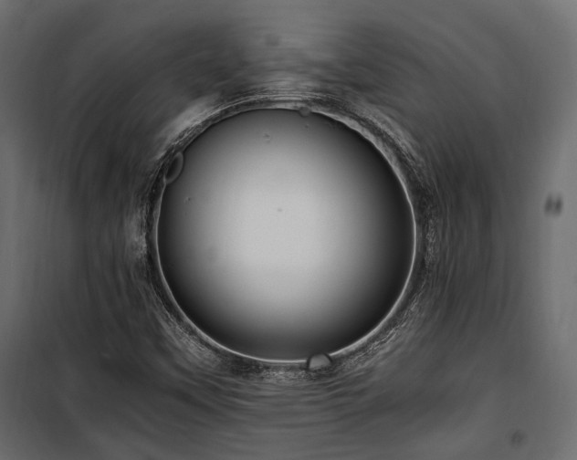 X0000100861451200806201205