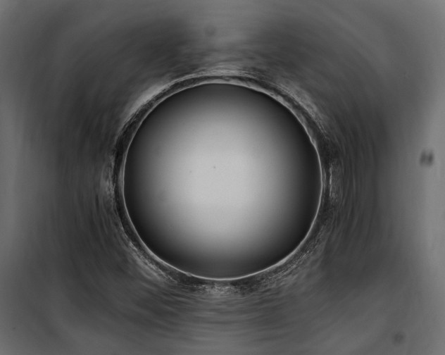 X0000100861452200806201205