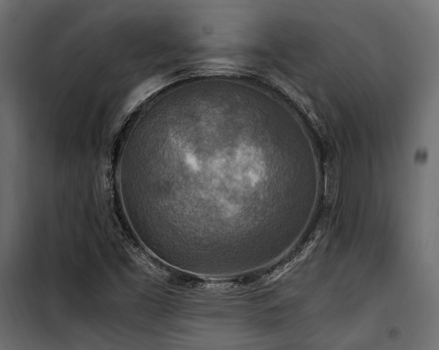 X0000100861453200806201205