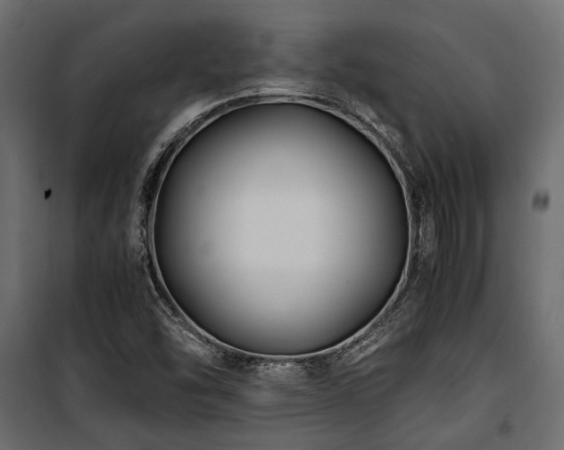 X0000100861454200806201205