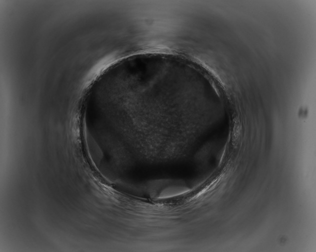 X0000100861455200806201205