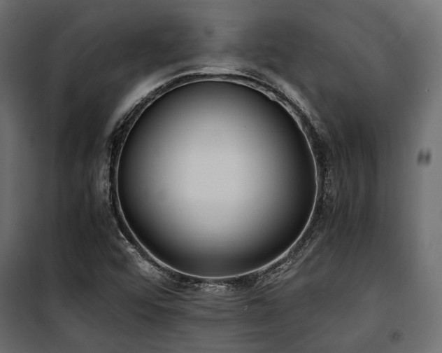 X0000100861456200806201205